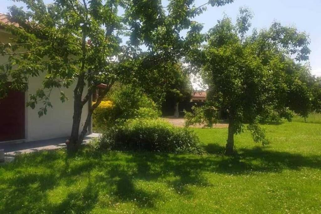 Holiday home Villa Monplaisir 82